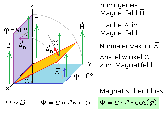 Magnetischer Fluss im homogenen H-Feld