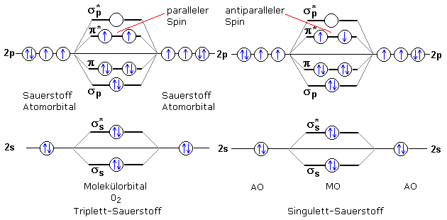 Singulett/Triplett Molekül